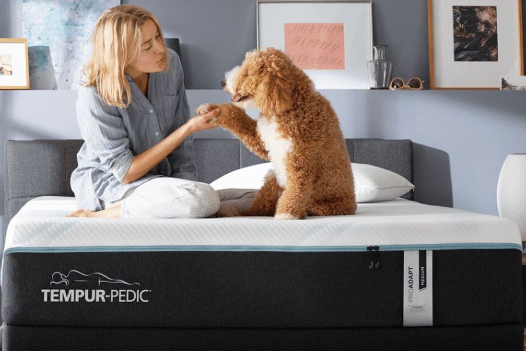 Top reasons why you should buy a Tempur Pedic mattress