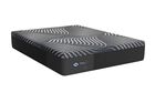 Sealy PosturePedic Plus Foam Brenham Medium Firm Mattress 13.5"