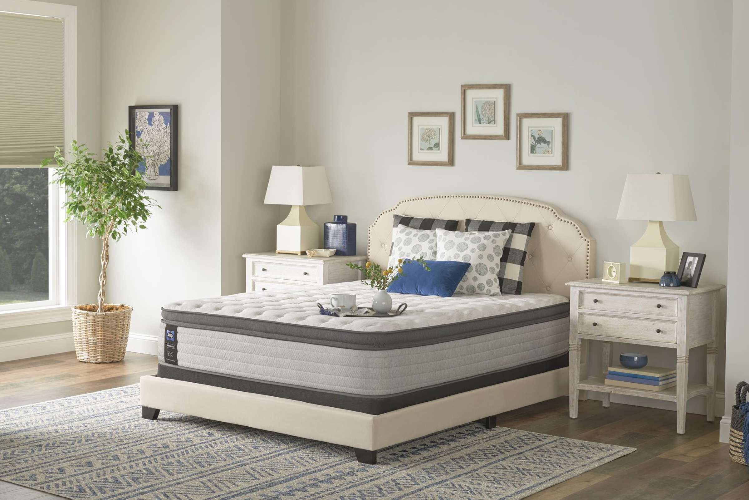 Shop Sealy Mattresses Online NorCal In store Mancini s Sleepworld