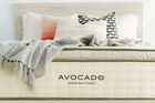Avocado Green Hybrid Pillow Top Mattress 13"