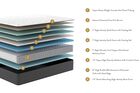 Sleepworld Express B700 Plush Mattress 13.5"