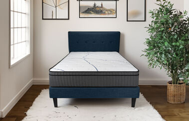 Sleepworld Designs Platinum  Faux Euro-Top Mattress 12.5"