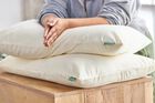 Avocado Organic Waterproof Pillow Protector