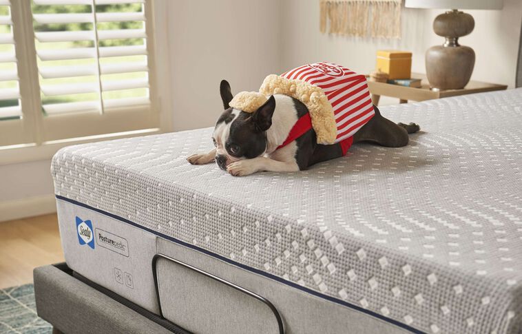 Sealy PosturePedic Foam Lacey Firm Mattress 13" image number 3