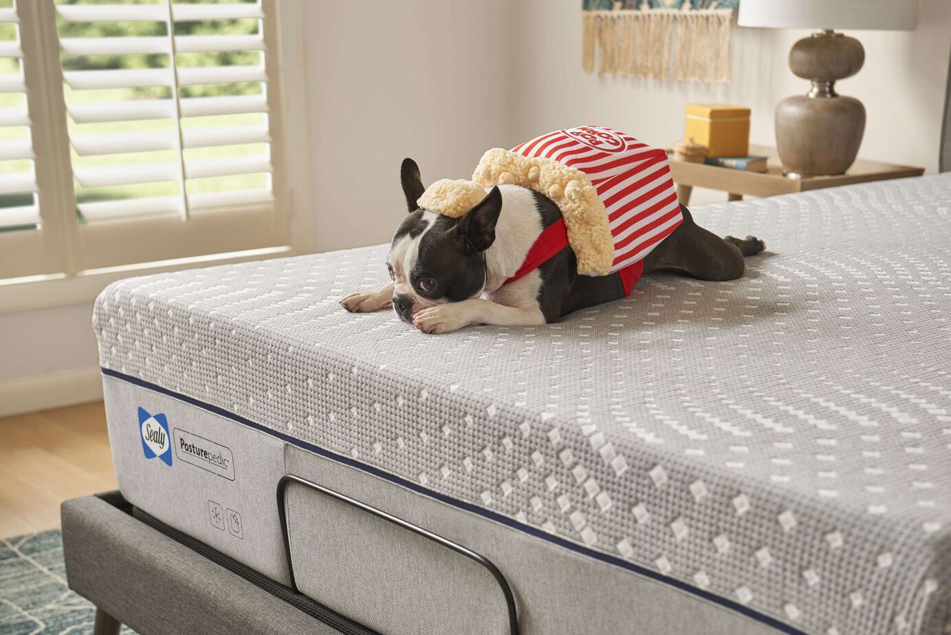 Sealy PosturePedic Foam Lacey Firm Mattress 13" image number 3