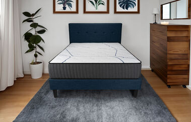 Sleepworld Designs Platinum  Extra Firm Mattress 11.5"