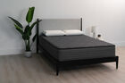 Mancini's California Collection Presidio Extra Firm Mattress 13"