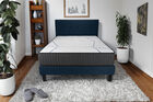 Sleepworld Designs Platinum  Cushion firm Mattress 12.5"