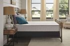 Sealy Sealy Essentials Spring Autumn Ash Plush Mattress 10.5"
