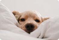 5 Best Firm Mattresses of 2023