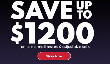 Black Friday Sale - Save up to $1200