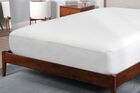 BEDGEAR Dri-Tec Mattress Protector