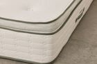 Avocado Green Hybrid Plush Pillow Top Mattress 13"