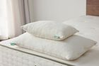 Avocado Green Pillow