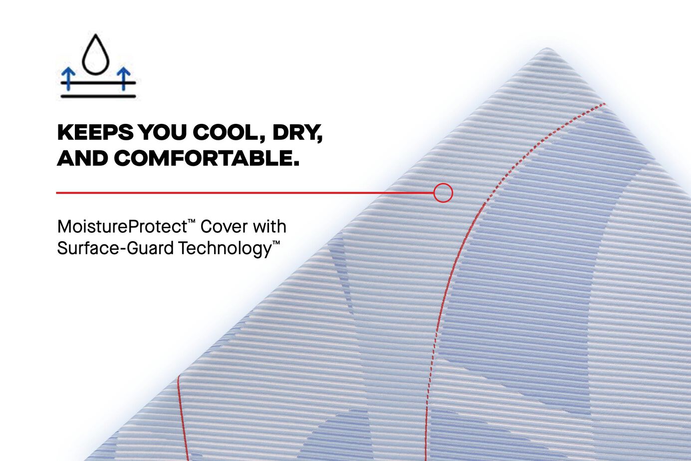 Sealy Posturepedic Plus Hybrid Paterson II Medium Mattress 13" image number 8