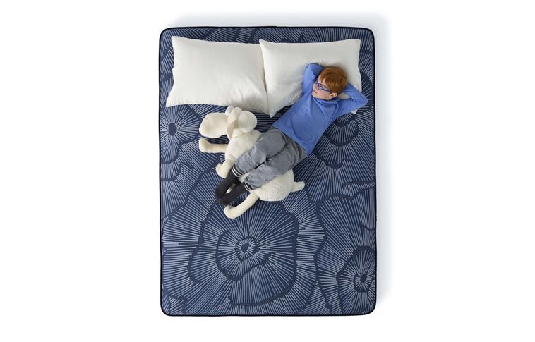 Serta Perfect Sleeper Dutch Iris Firm Mattress 12" image number 3