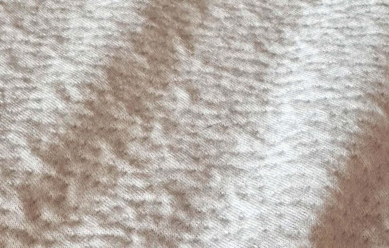 Purecare Dr. Weil Signature Pillow Protector image number 2