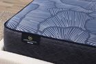 Serta Perfect Sleeper English Ivy Plush Mattress 14"