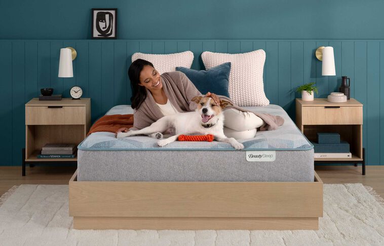 BeautySleep Dream Weaver Hybrid Plush Smooth Top Mattress 12.5" image number 1