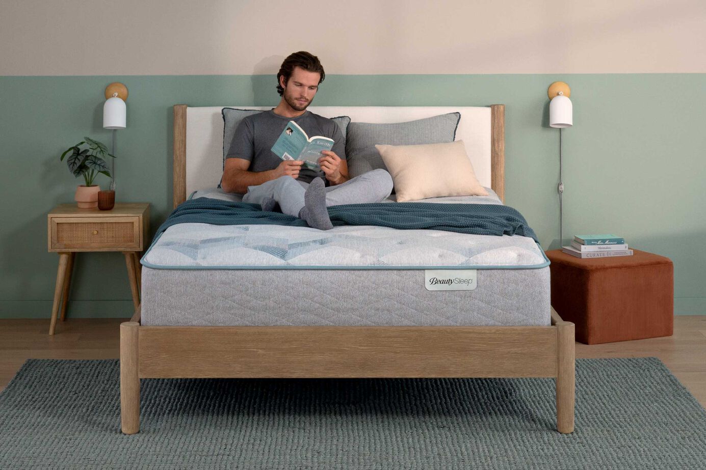 BeautySleep Dream Weaver Plush Tight Top Mattress 13.75" image number 2