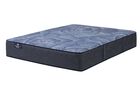 Serta Perfect Sleeper English Ivy Plush Mattress 14"