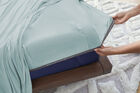 BEDGEAR Ver-Tex Performance Sheet Set