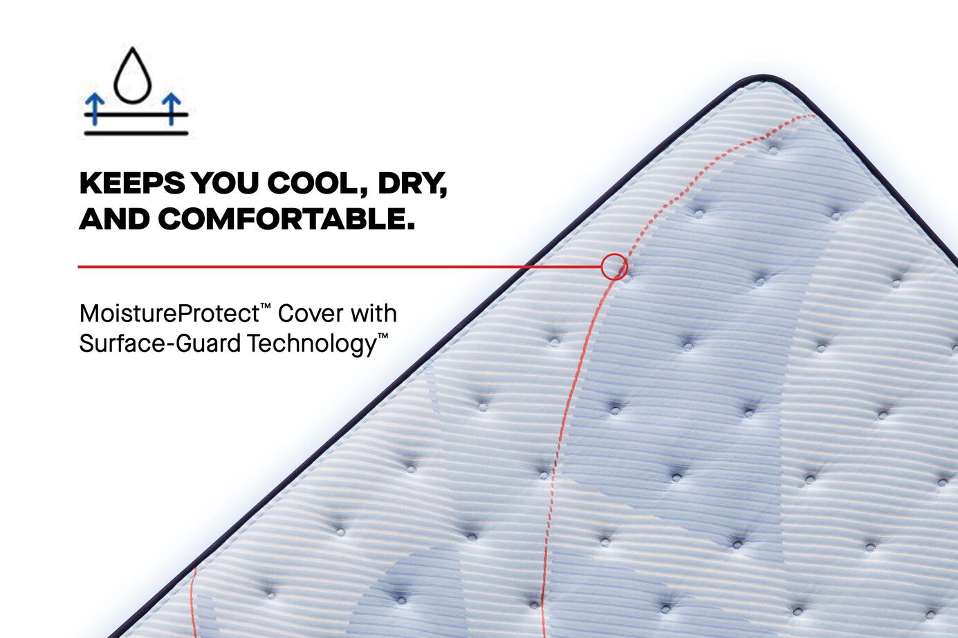 Sealy Posturepedic Plus Paterson II Extra Firm Mattress 13" image number 8