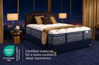 Aireloom Bay Preferred Shasta Plush Mattress 14"