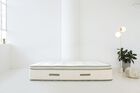 Avocado Green Hybrid Plush Pillow Top Mattress 13"