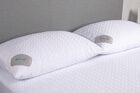 BEDGEAR Dri-Tec 5.0 Air-X Pillow Protector