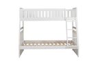 Homelegance Galen Bunkbed