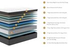 Sleepworld Express 15.5" Innerspring Pillow Top Mattress