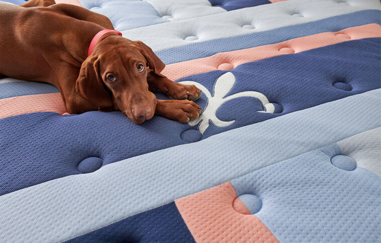 Stearns and Foster Reserve Duet Medium Firm Mattress 17" image number 0