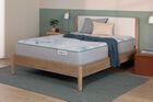 BeautySleep Dream Weaver  Plush Tight Top Mattress 13.75"