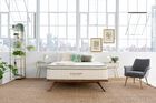 Avocado Green Hybrid Plush Pillow Top Mattress 13"