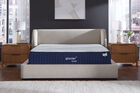 Glacier Luxe Peak Plush Mattress 14"