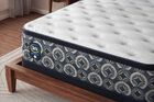 Serta Perfect Sleeper Cascade Canyon Plush Pillow Top Mattress 14"