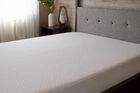 Bedgear Dri-Tec Mattress Protector
