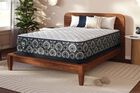 Serta Perfect Sleeper Cascade Canyon Firm Mattress 13"