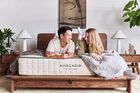 Avocado Green Hybrid Firm Mattress 11.5"