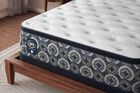 Serta Perfect Sleeper Cascade Canyon Medium Pillow Top Mattress 14"