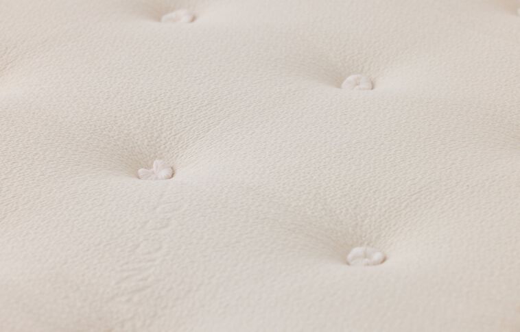 Avocado Green Hybrid Plush Pillow Top Mattress 13" image number 3