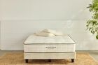 Avocado Green Foundation Mattress 7.25"