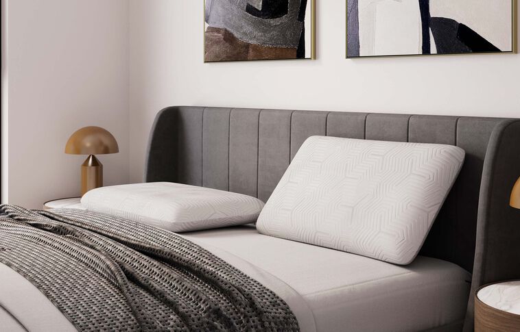 Sleep Partner ZZZ Gentle Response Low Pillow image number 1