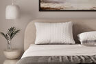 Sleep Partner ZZZ Cozy Cloud Pillow, 2-Pack