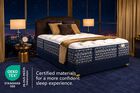 Aireloom Bay Preferred Shasta Luxury Firm Mattress 14"