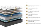 Sleepworld Express 14" Hybrid Plush Mattress