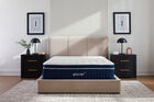 Glacier Apex Hybrid Plush Euro-Top Mattress 14"