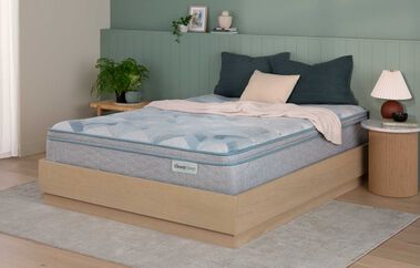BeautySleep Dream Weaver  Medium Pillow Top Mattress 14.25"