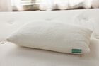 Avocado Green Pillow